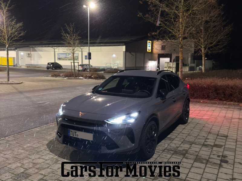 Cupra Formentor VZ 2025 Spanien Grau Schwarz Einsatzfahrzeug SUV DE - Baden-Württemberg 7728